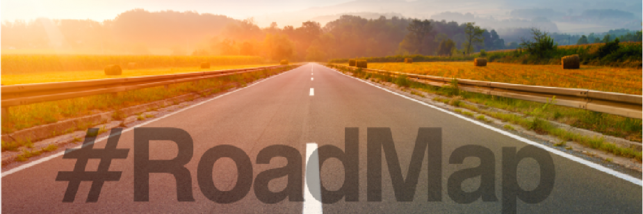 roadmap