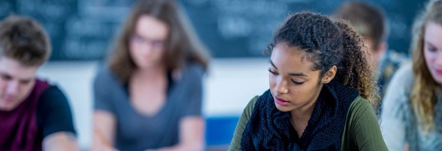 preparação para novo ensino médio